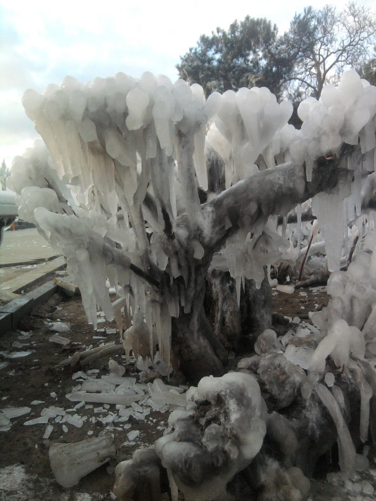 Нина Клименко | Ялта