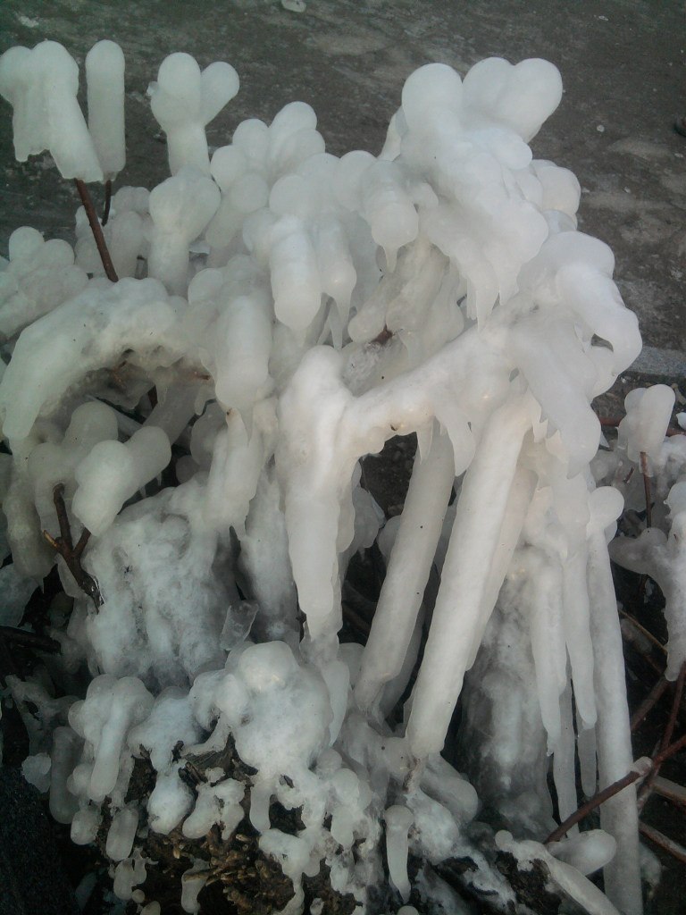 Нина Клименко | Ялта