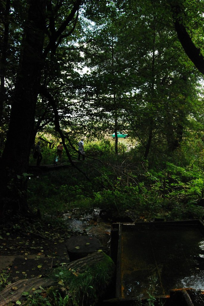 Варвара Колесник Demoni | Ростов-на-Дону