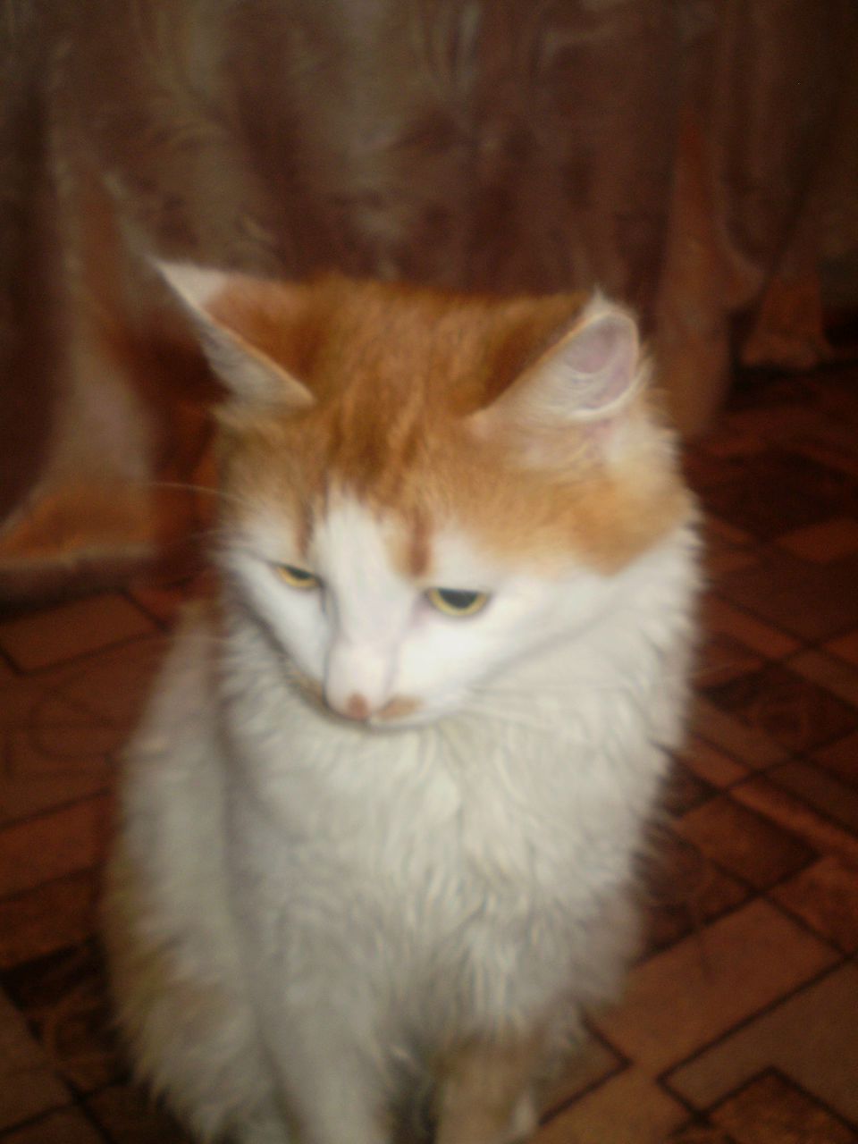 Борис Борис | Тюмень