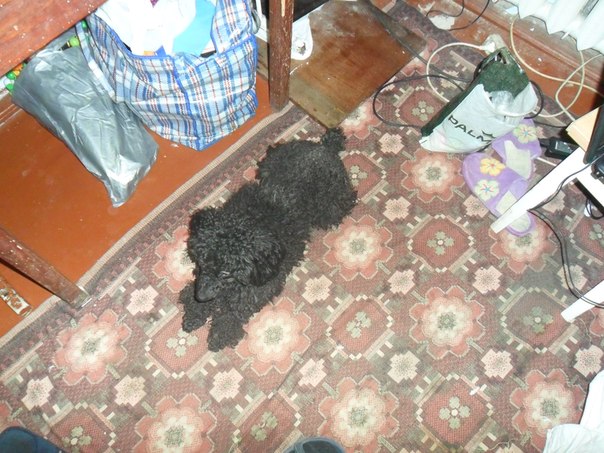 №1, Наташа Матц №1, Наташа Матц