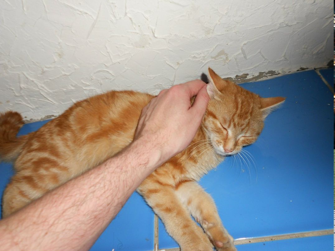 Константин Кряжев | Красногорск