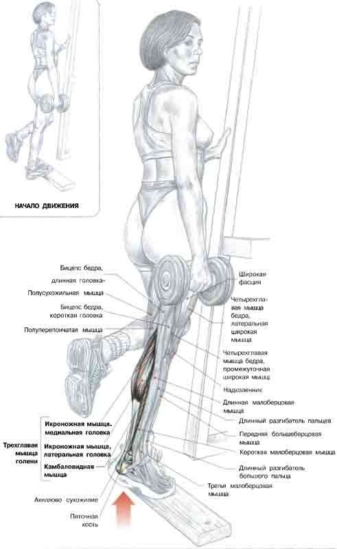Юра Коплак ► ѱ ²º¹7 ѱ ◄ | Львов