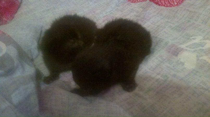 Елена Никонова | Пермь