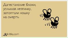 №37 Дарья Бодаль 24.08: профиль, фото, статус - ВКонтакте