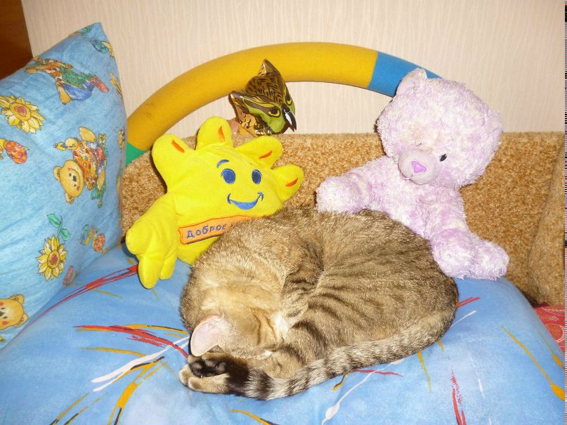 Дмитрий Малкин | Нижний Новгород