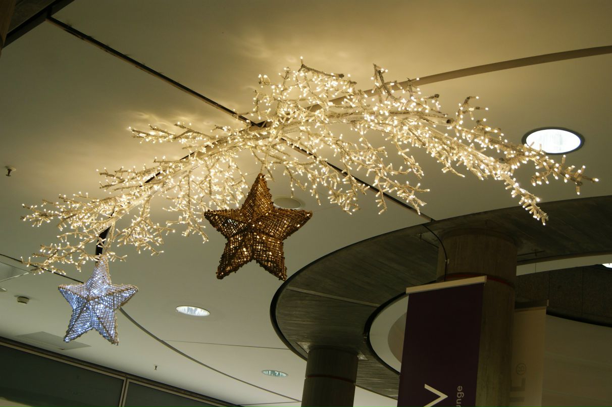 Виолетта Кошлак | Николаев