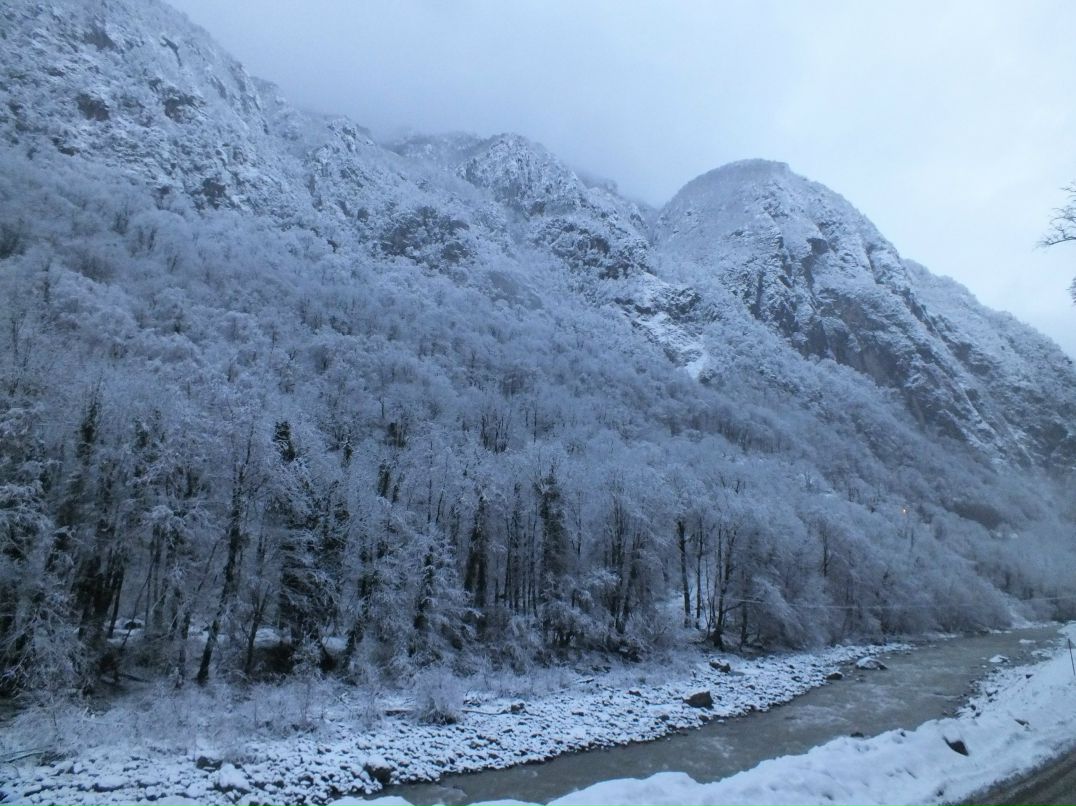 Евгений Николаевич | Волчно-Бурлинское