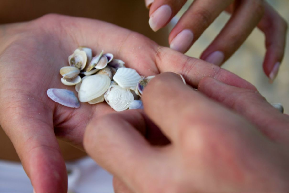 Ксения Чулкова | 