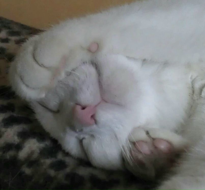 Вячеслав Савельев | Москва