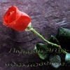 Аватар: Анюта Просто