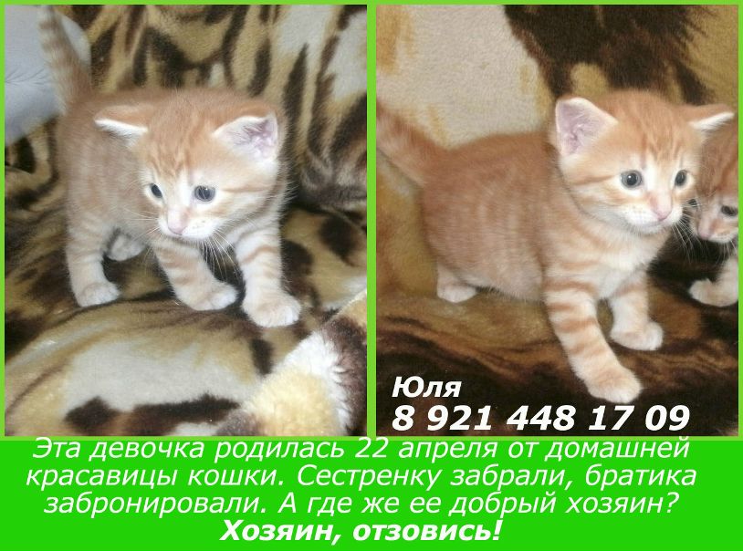 №175, Ирина Власова, 80 лет, Санкт-Петербург №175, Ирина Власова, 80 лет, Санкт-Петербург