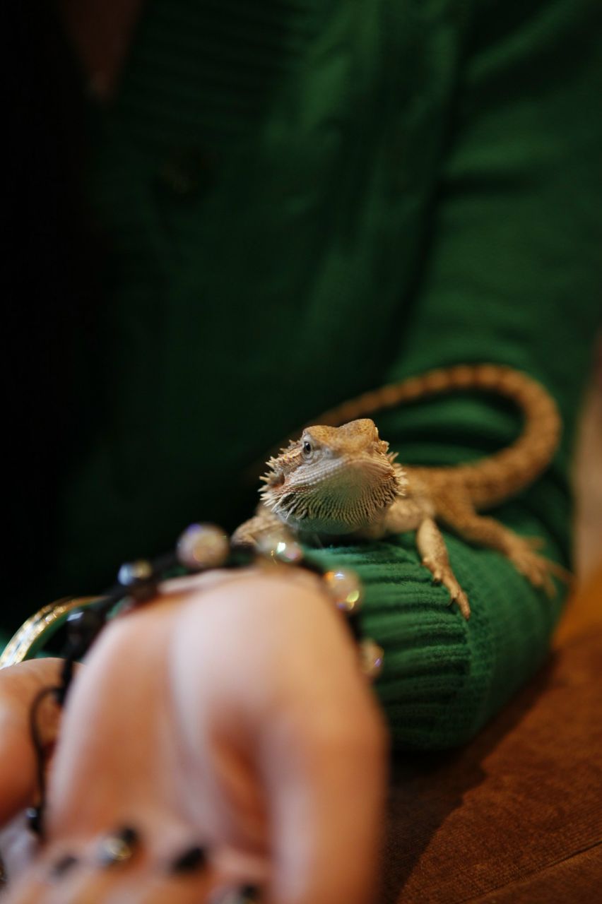 Карина Сичкина | Philadelphia