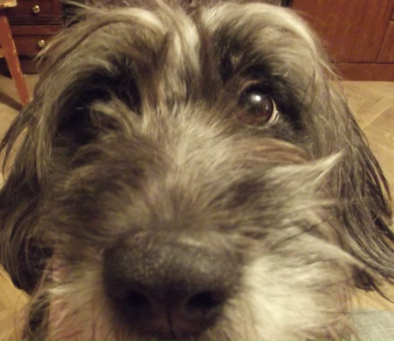 Сергей Илясов | Москва