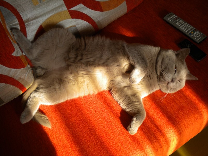 Николай Страбыкин FRoZeN | Киров