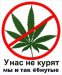 Али Баба фотография #49