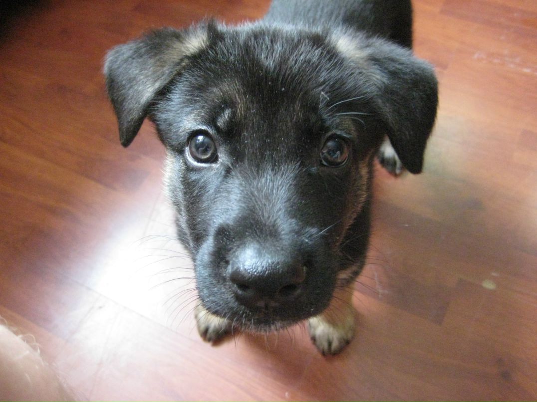 Марина Пузина | Москва