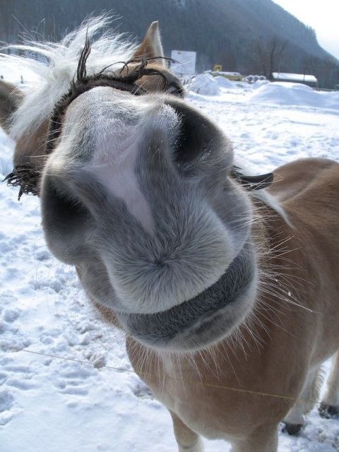 Татьяна Иванова | Симферополь