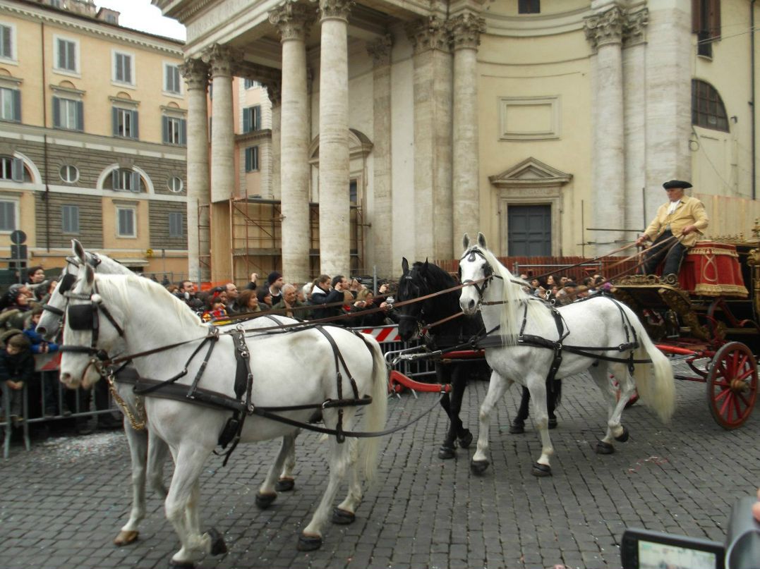 Vlasta Dobrovolskaya | Roma