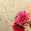 Аватар: Αртур Φилиппов