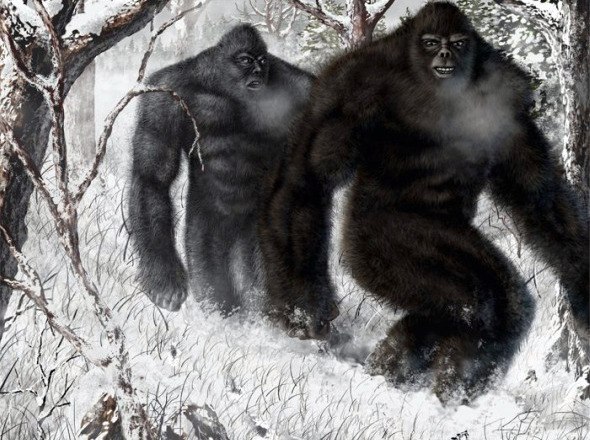 №102, Валера Шульгинов, 40 лет, Владивосток №102, Валера Шульгинов, 40 лет, Владивосток