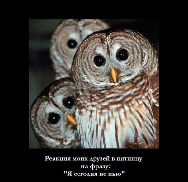 Kate Rina | Кривой Рог