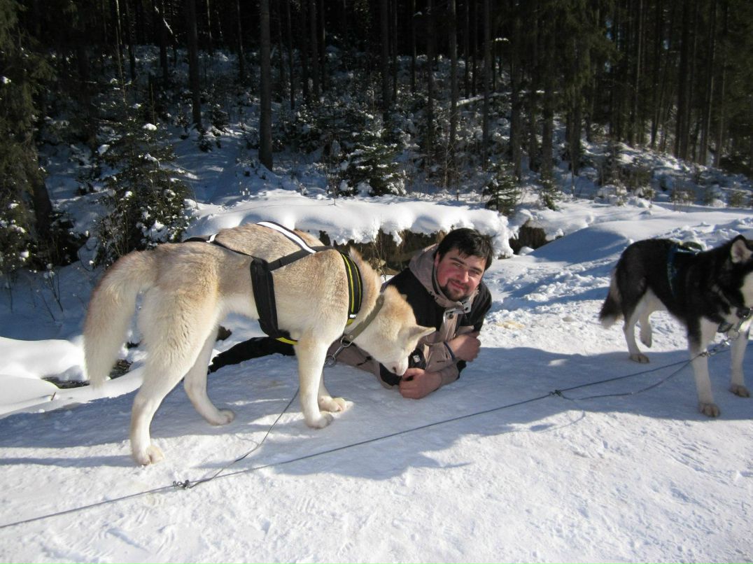 Артим Нестор | Львов