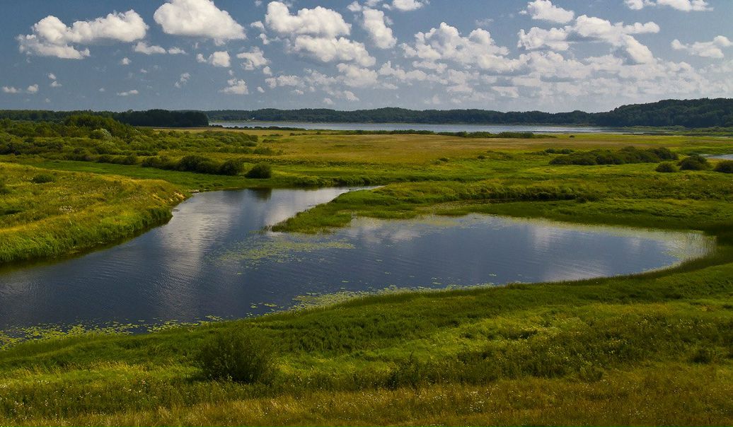 №1, Ольга Савкина №1, Ольга Савкина