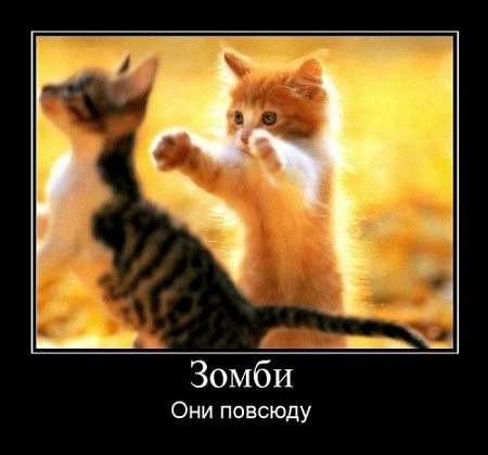 №29, Дмитрий Продиус, 40 лет №29, Дмитрий Продиус, 40 лет