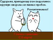 Фотография Илья Колбин