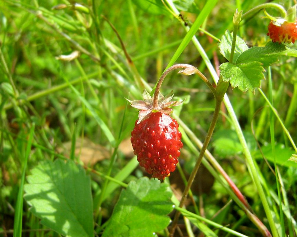 Оля Смирнова | Нижний Новгород