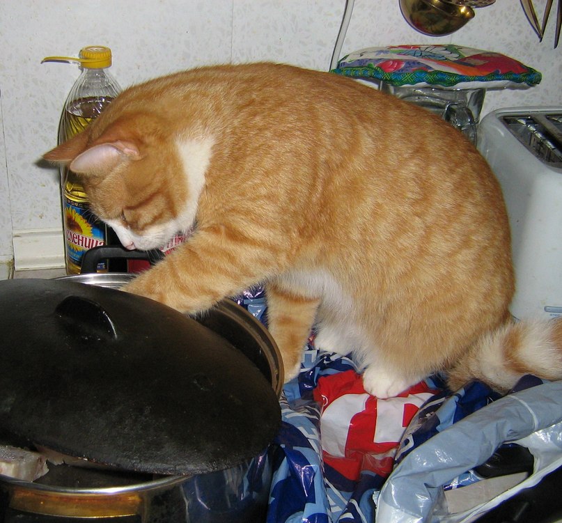 Роза Львовна | Санкт-Петербург