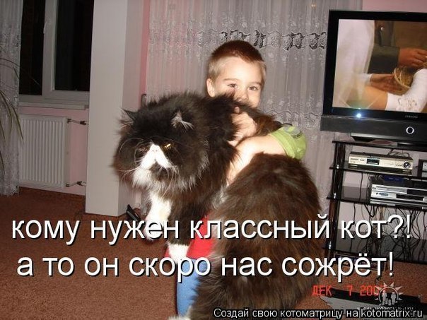 №3, Лёша Sokolov №3, Лёша Sokolov