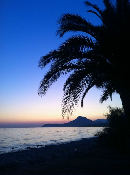 №37, Катерина Щипанская, Санкт-Петербург №37, Катерина Щипанская, Санкт-Петербург