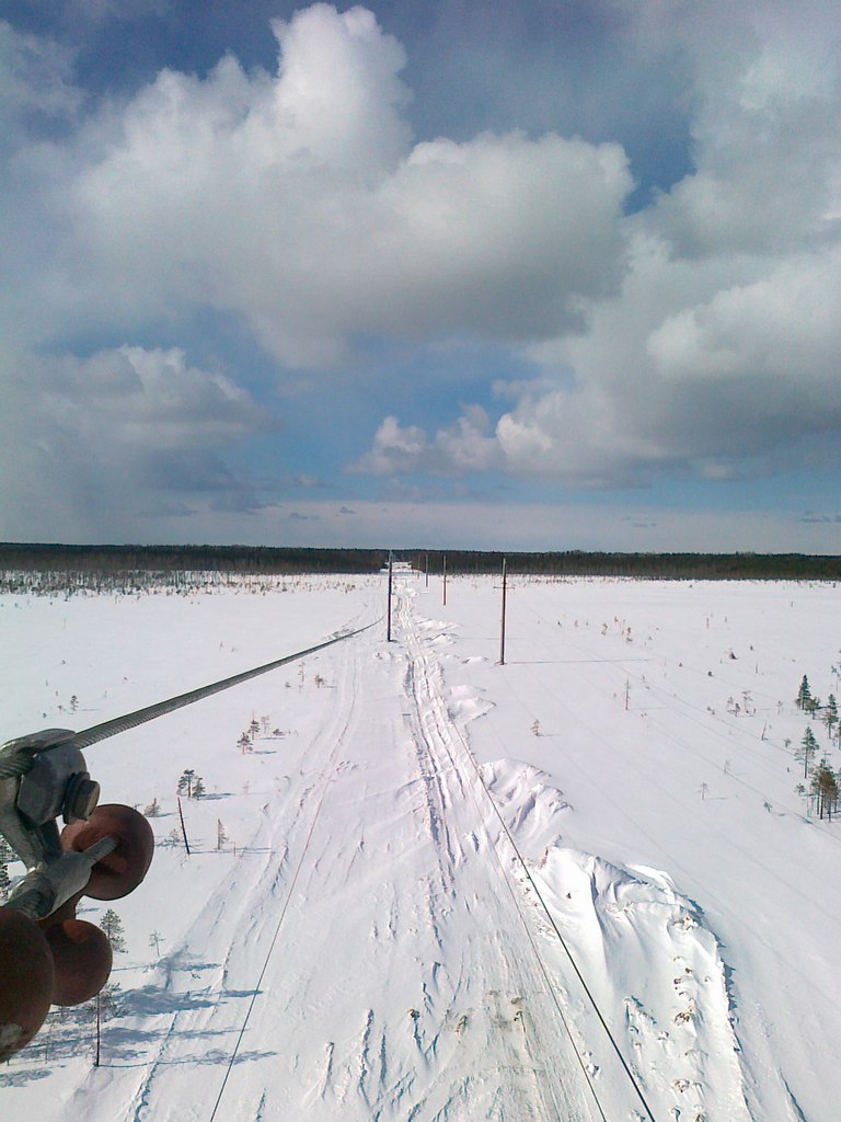 Павел Трофимов | Вологда