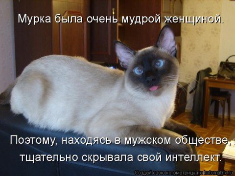 Виктория Иванова | Wien