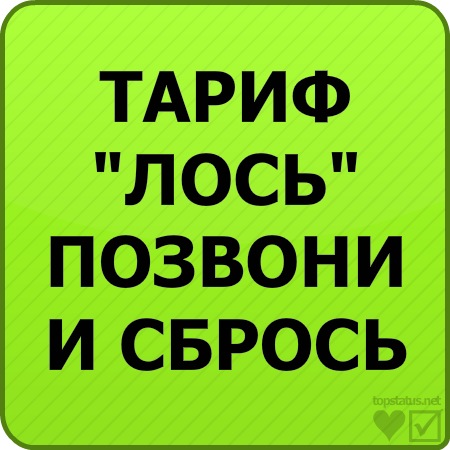 №3, Михаил Кудимов, 25 лет, Ярославль №3, Михаил Кудимов, 25 лет, Ярославль