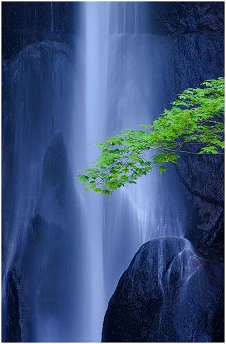 Алина Маркова | Санкт-Петербург