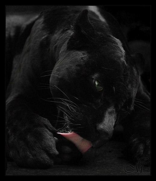 Нина Архипкина Малая | Санкт-Петербург