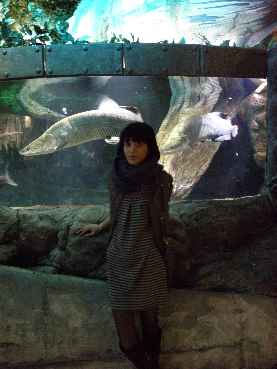 Анастасия Чеботарёва | Старый Оскол