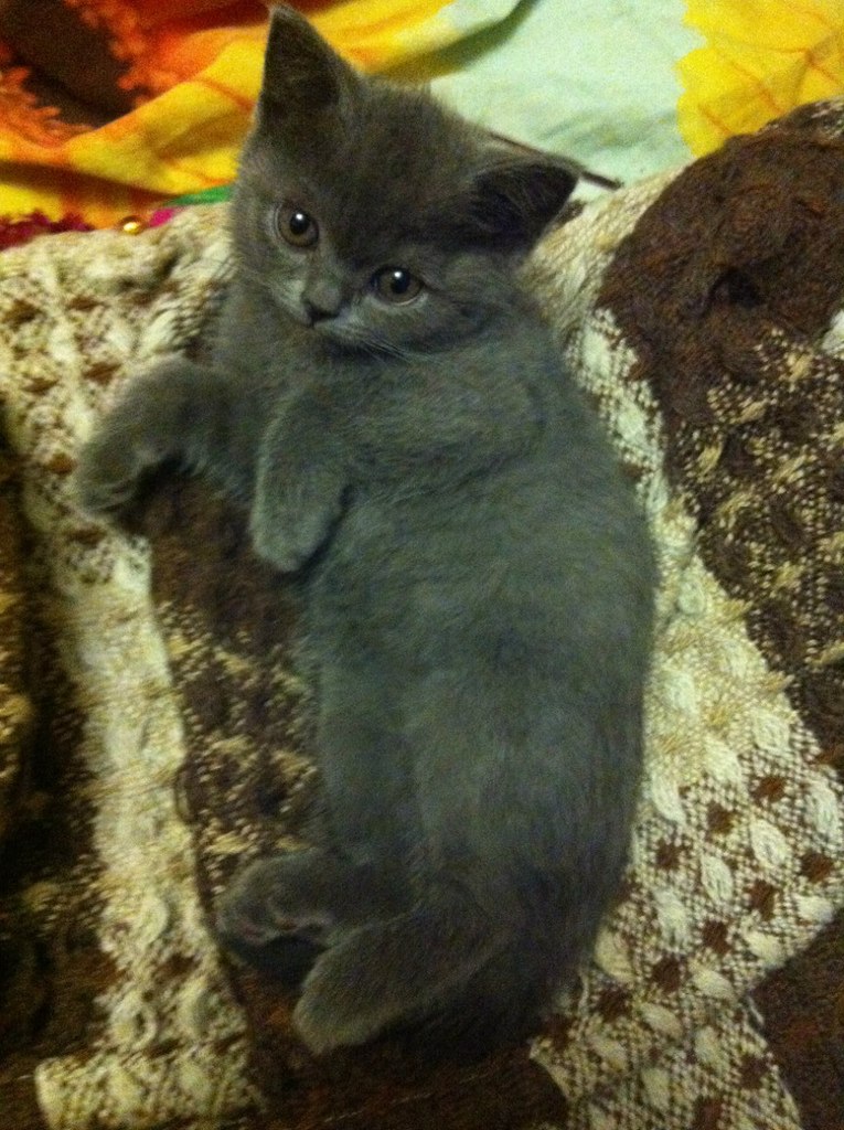 Мария Никитина | Москва