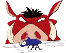 Виталик Мазурек Rukuchikata | Харьков