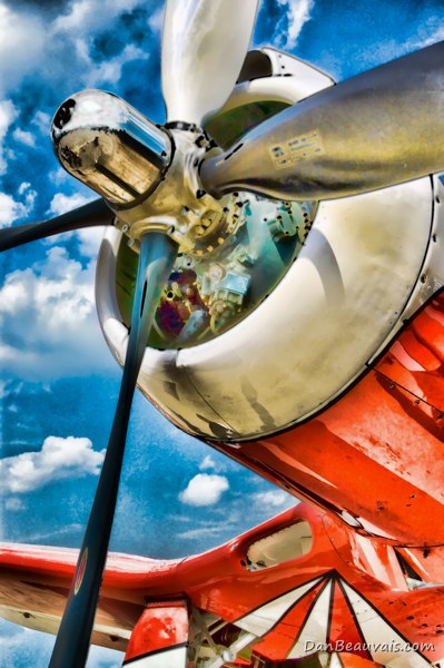 Ксения Шелюк | Bratislava