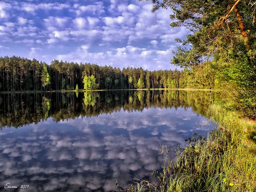Сергій Якушевський | Львов