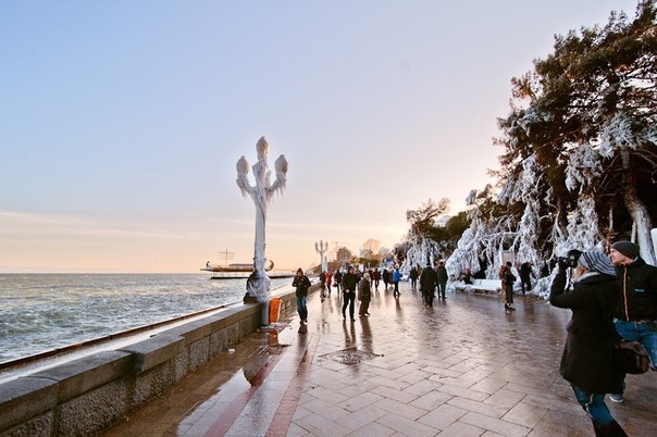 Алексей Терещенко poZitiF | Днепр (Днепропетровск)