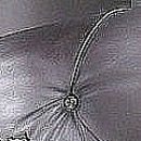 №1, Елена Жемчужная, Мурманск №1, Елена Жемчужная, Мурманск