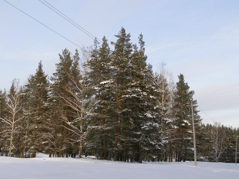 Алексей Друзин | Алатырь