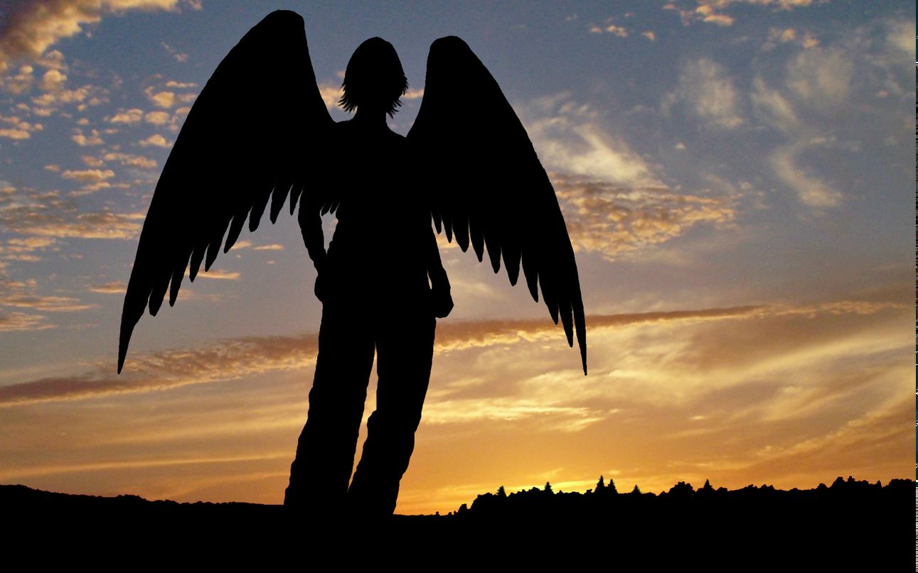 Михаил Буркот ๖ۣۜArch๖ۣۜAngeLツ | Киев