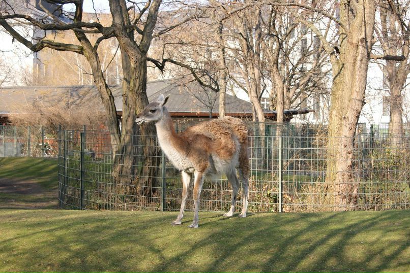 Кирилл Козырёв | Санкт-Петербург