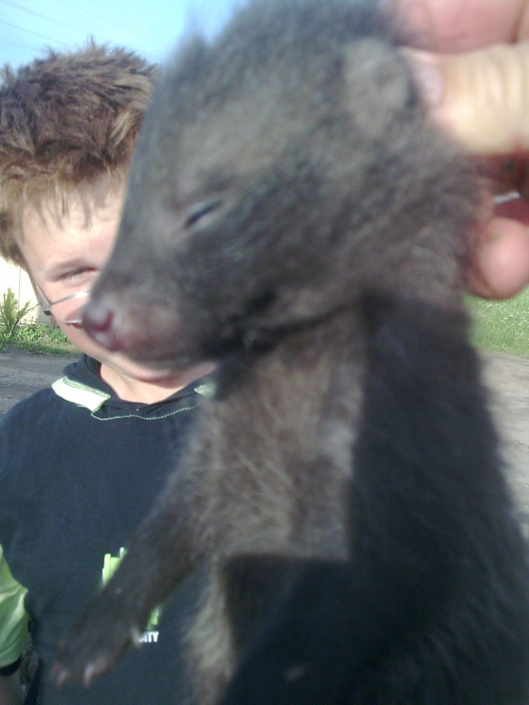 Антон Хмелевский (ЮРИЧ) | Дружная Горка